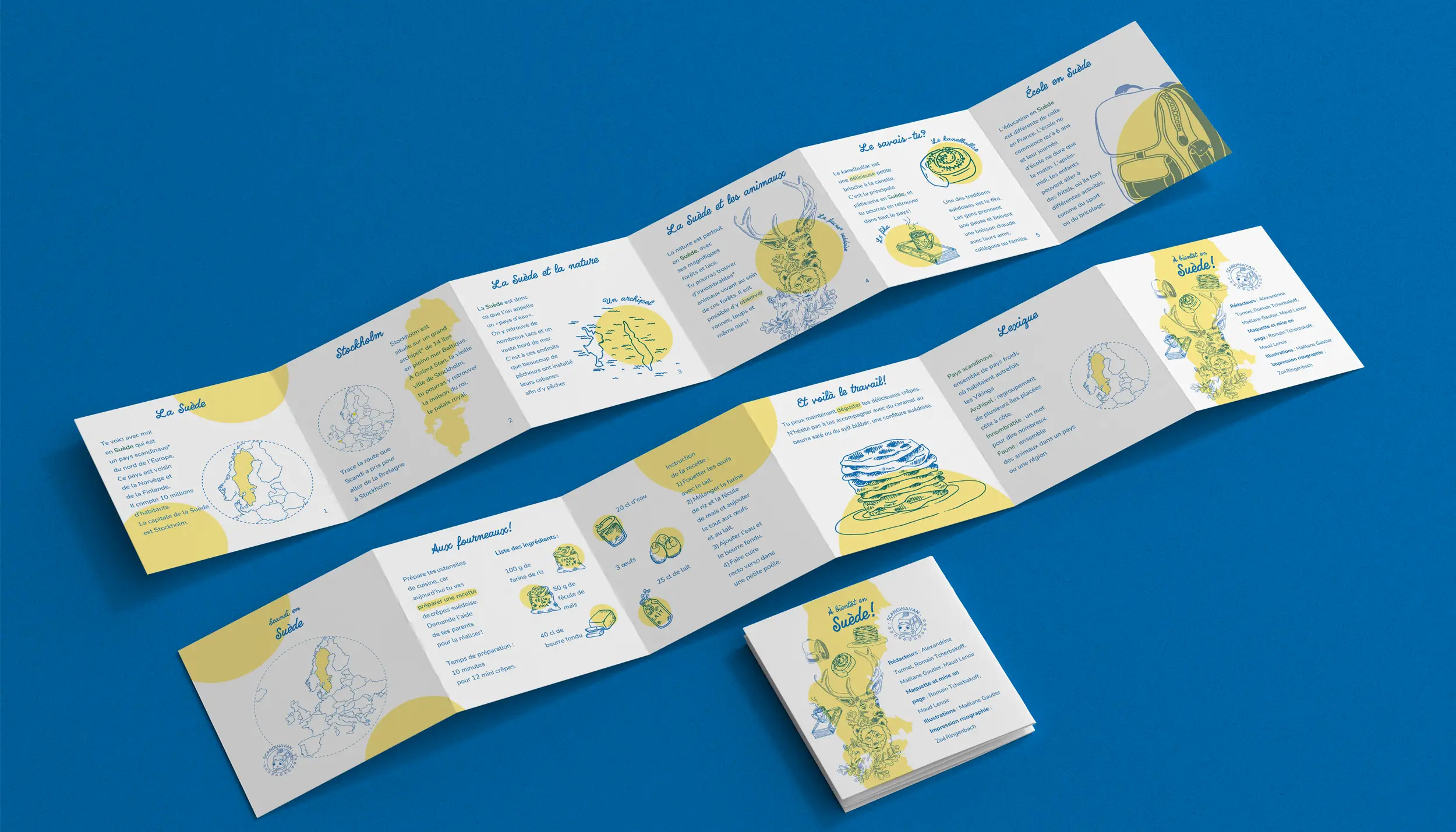 Deux carnets de voyage en leporello dépliés sur fond bleu